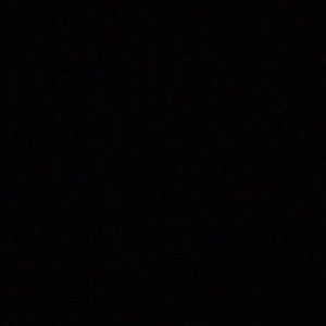 Meet your Posher, Phoebe